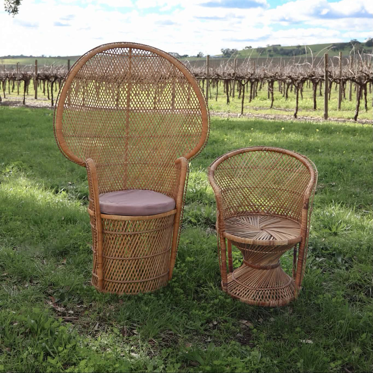 Two woven rattan outdoor chairs, one tall peacock-style chair and one smaller armchair, placed on a grassy lawn with a vineyard and blue sky in the background.