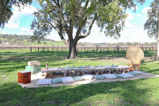 An outdoor picnic setup on a grassy lawn beneath a large tree, featuring a long wooden table with place settings, striped pillows, a woven peacock chair, and a small green cooler, with a vineyard and hills in the background.